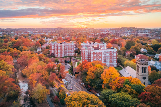 LONGWOOD TOWERS DURING FOLIAGE - Horizontal