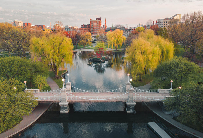 BOSTON PUBLIC GARDEN IN MAY