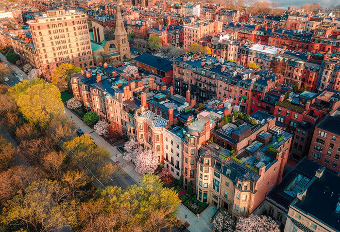 COMMONWEALTH AVENUE, BLOOMING SEASON