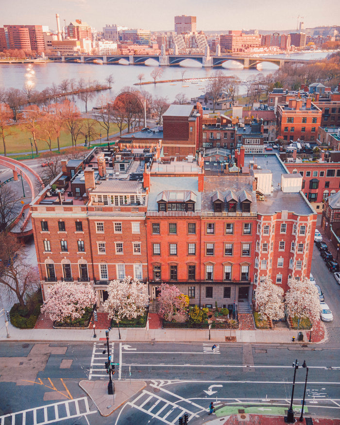 BLOOMING SEASON IN BOSTON