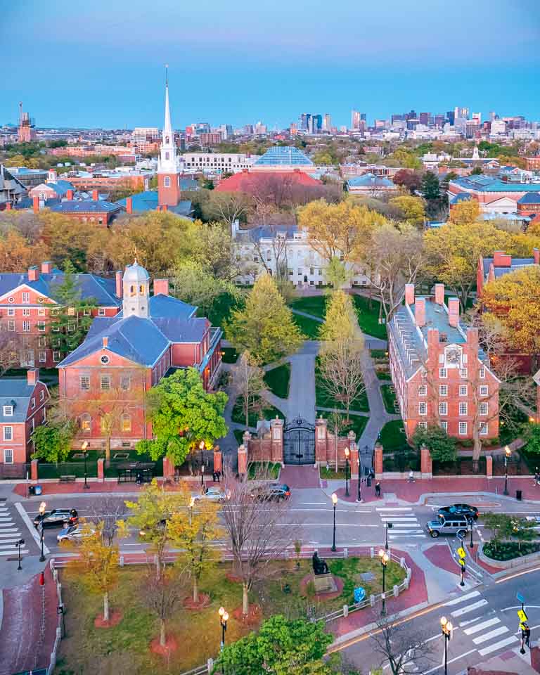 HARVARD UNIVERSITY