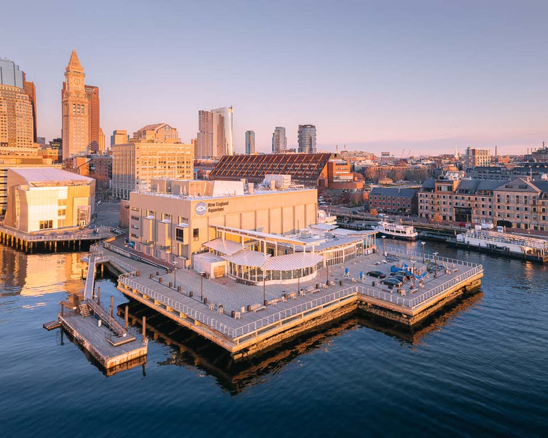 NEW ENGLAND AQUARIUM